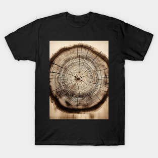 Tree Rings: Layers of Time on a Dark Background T-Shirt